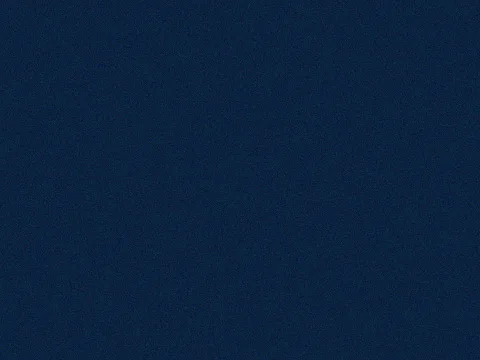 Pantone Navy Blue