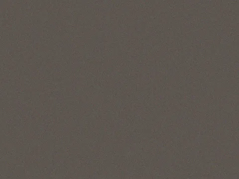 Pantone Warm Gray 11 C
