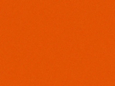 RAL 2004 Pure Orange