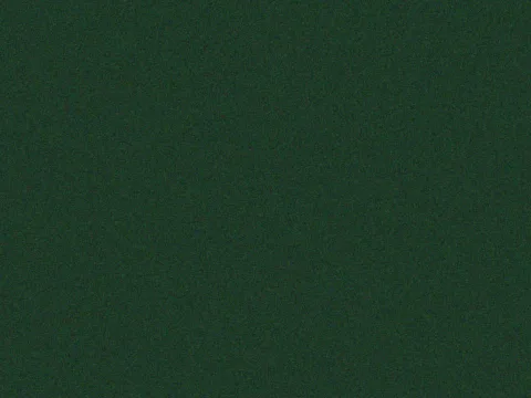 RAL 6009 Fir Green