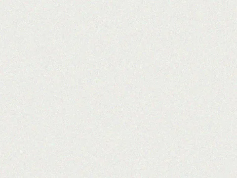 RAL 9003 Signal White