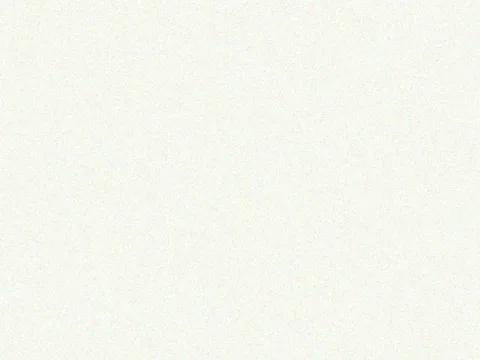 RAL 9016 Traffic White