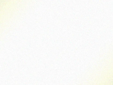 Fluoropolymer (PVDF)