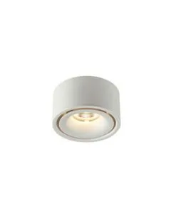 Fsl Led Vintage Filament Bulb 2200K Luminaires-8W