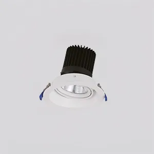 LUMIBRIGHT JEWEL DOWN LIGHT LUMINAIRES-55W