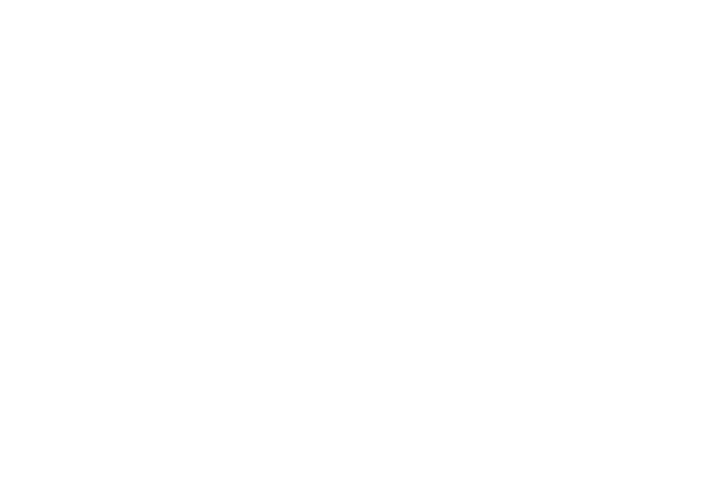 Savant