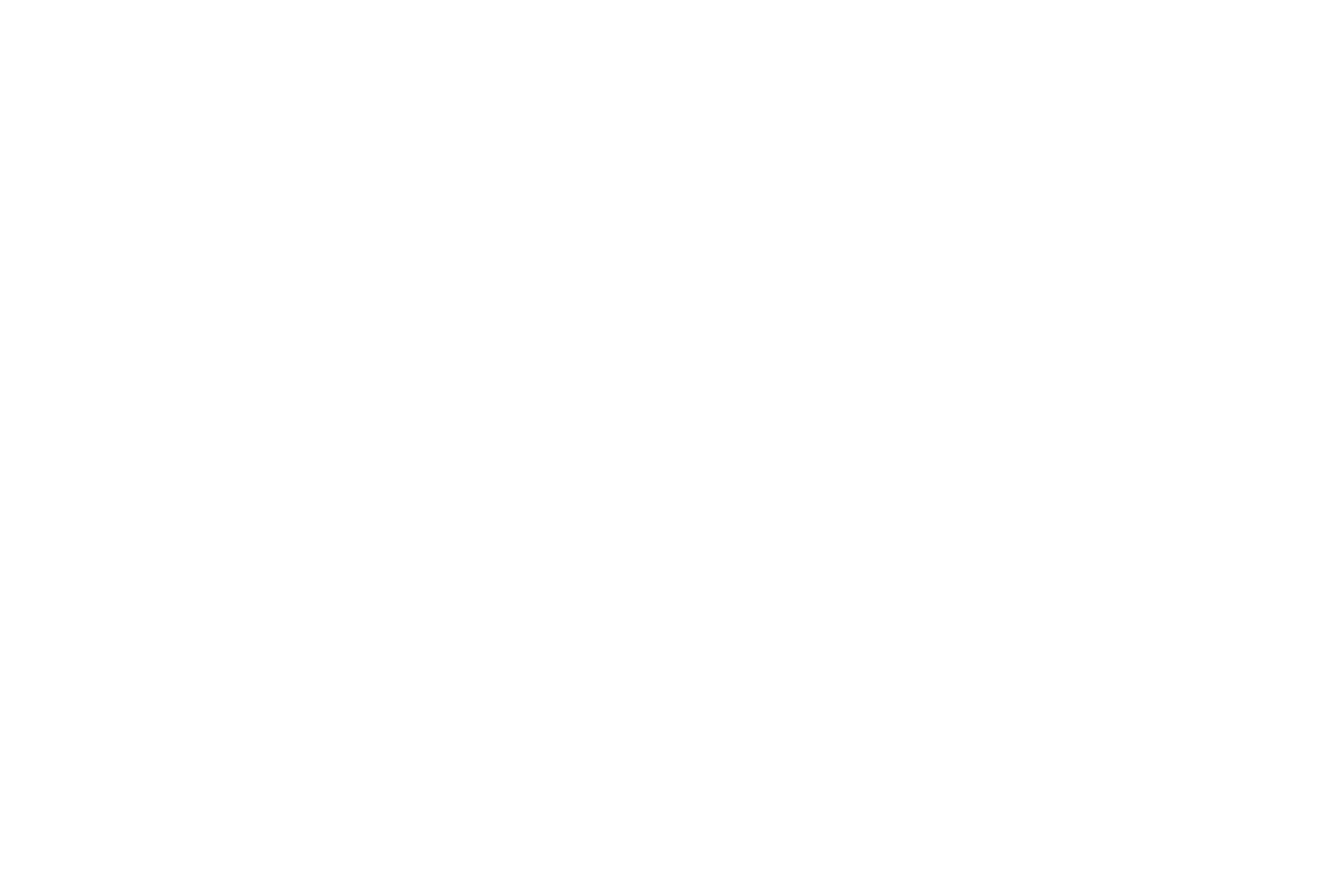 ChamSys