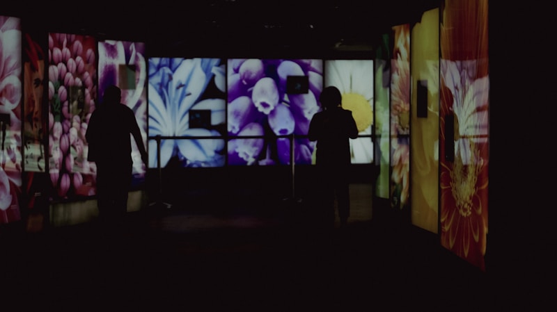 Art & Immersive